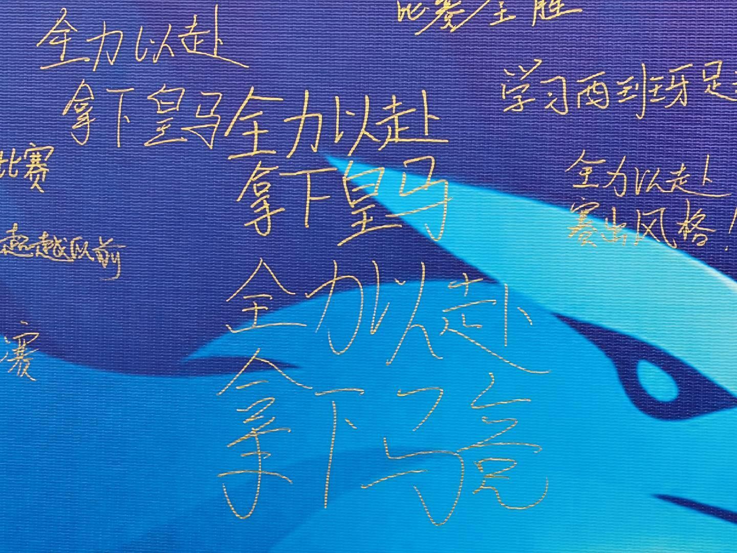 专业太阳成tyc7111cc服务
